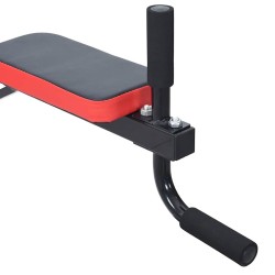 Station Dips Murale 100 kg Acier 