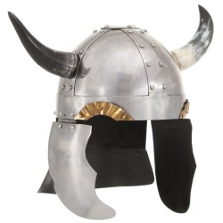 Casque de viking pour GN Argenté Acier 