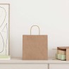 Sacs en papier 250 pcs avec poignées marron 26x17x25 cm 