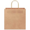 Sacs en papier 250 pcs avec poignées marron 26x17x25 cm 
