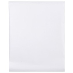 Film pour fenêtre dépoli blanc 45x500cm PVC 