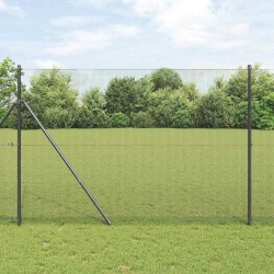 Clôture en fil soudé , grise, 1,6 x 10 m, en acier 