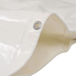  Bâche 650 g / m² 3 x 4 m Blanc alsavelo 