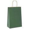 Sacs en papier 250 pcs avec poignées vert 21x11x31 cm 