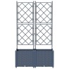Jardinière avec Treille 2 pcs Grise 80x40x143 cm 