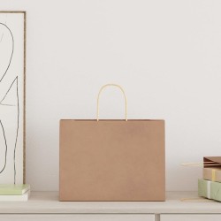 Sacs en papier 250 pcs avec poignées marron 32x17x25 cm 