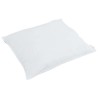 Oreillers 2 pcs Blanc 65 x 65 cm 130gsm 100% coton 