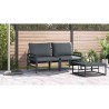 Ensembles de meubles d'extérieur avec coussin avec oreiller 2 pcs Anthracite 