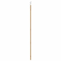 Porte Coulissante avec Set de Quincaillerie 83x232 cm en Bois Massif de Pin 