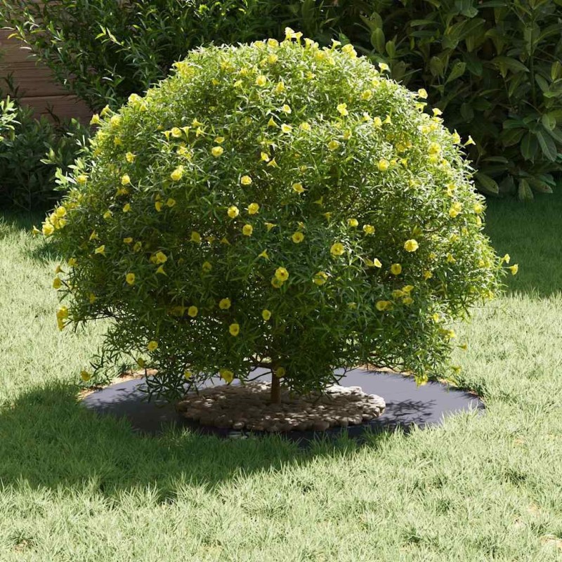Pot en résine Anthracite Résine Moyen Jardinières 