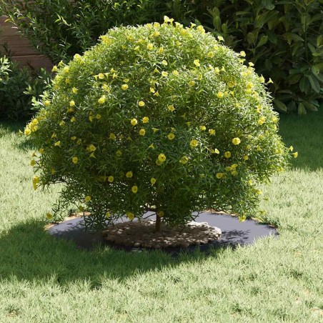 Pot en résine Anthracite Résine Moyen Jardinières 