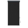 Store roulant d'extérieur 80 x 250 cm Anthracite 