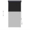 Store roulant d'extérieur 80 x 250 cm Anthracite 