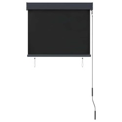 Store roulant d'extérieur 80 x 250 cm Anthracite 