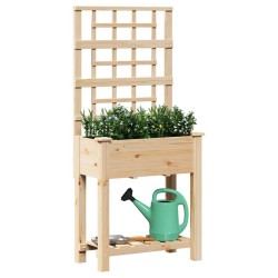 Jardinière avec treillis et étagère 71x37x152 cm en bois massif de sapin 