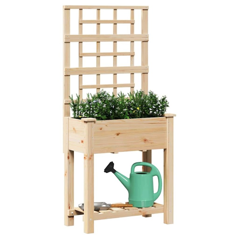 Jardinière avec treillis et étagère 71x37x152 cm en bois massif de sapin 