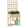 Jardinière avec treillis et étagère 71x37x152 cm en bois massif de sapin 
