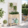 Jardinière avec treillis et étagère 71x37x152 cm en bois massif de sapin 