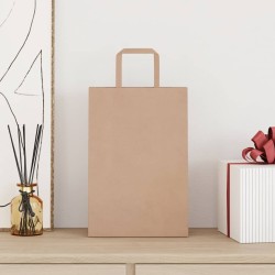 Sacs en papier 50 pcs avec poignées marron 21x11x31 cm 