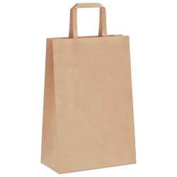 Sacs en papier 50 pcs avec poignées marron 21x11x31 cm 