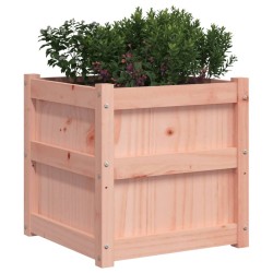 Jardinière 50x50x50 cm bois massif douglas 