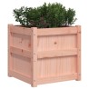Jardinière 50x50x50 cm bois massif douglas 