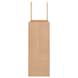 Sacs en papier 250 pcs avec poignées marron 21x11x28 cm 