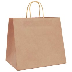 Sacs en papier 250 pcs avec poignées marron 32x22x28 cm 