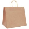 Sacs en papier 250 pcs avec poignées marron 32x22x28 cm 