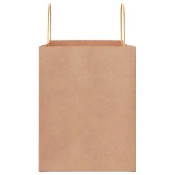 Sacs en papier 250 pcs avec poignées marron 32x22x28 cm 