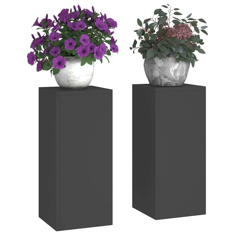 Supports de Plantes Outdoor Colonne 2 pcs Noir 24x24x55 cm Acier 