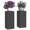 Supports de Plantes Outdoor Colonne 2 pcs Noir 24x24x55 cm Acier 