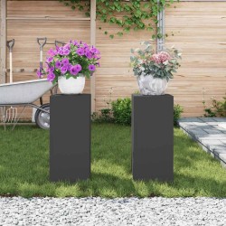 Supports de Plantes Outdoor Colonne 2 pcs Noir 24x24x55 cm Acier 
