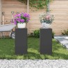 Supports de Plantes Outdoor Colonne 2 pcs Noir 24x24x55 cm Acier 