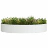 Pot en métal blanc Blanc Métal Grand Pot de plante blanc 