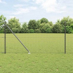 Clôture Euro avec 13 poteaux en fer à pointe de 1x25 m en acier galvanisé gris 