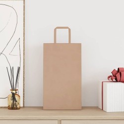 Sacs en papier 50 pcs avec poignées marron 21x11x36 cm 