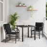 Ensemble de jardin 3 pièces avec coussins en poly rotin noir 