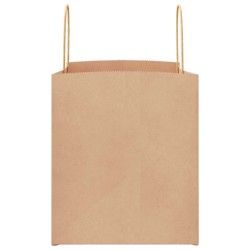 Sacs en papier 250 pcs avec poignées marron 32x22x24 cm 