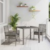 Ensemble de salle à manger pour jardin 3 pcs Gris 