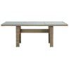 Table à manger Marron 200x100x74 cm Verre et résine tressée 