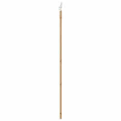 Porte Coulissante avec Ensemble de Matériel 86x211 cm Bois Massif Pin 