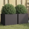 Jardinières 2 pcs noir 32x30x29 cm acier 