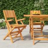 Chaises de jardin pliantes lot de 2 55x61x90cm bois massif teck 