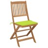 Chaises pliables de jardin lot de 2 avec coussins Bois d'acacia 