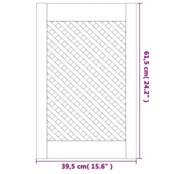 Portes d'armoires en treillis 2 pcs 39,5x61,5 cm pin massif 