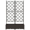 Jardinier avec Treillis 2 pcs Marron 80x40x125,5 cm 