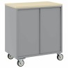 Cabinet à outils avec roues et verrouillage Rouge 75x45x85 cm Acier 