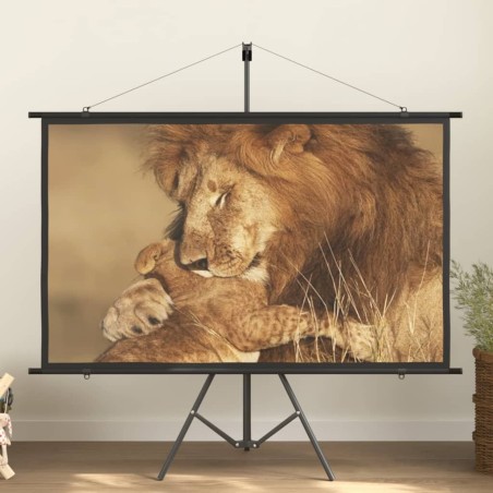 Écran de projection avec trépied 72" 16:9 
