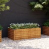 Lit surélevé de jardin 100x50x36 cm acier corten 